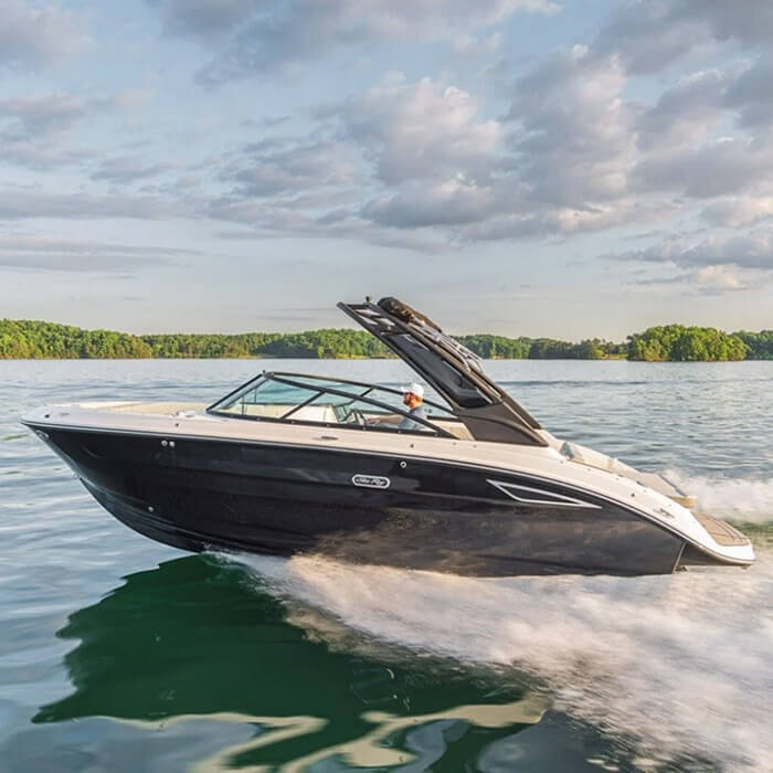 Sea Ray Deck Boat